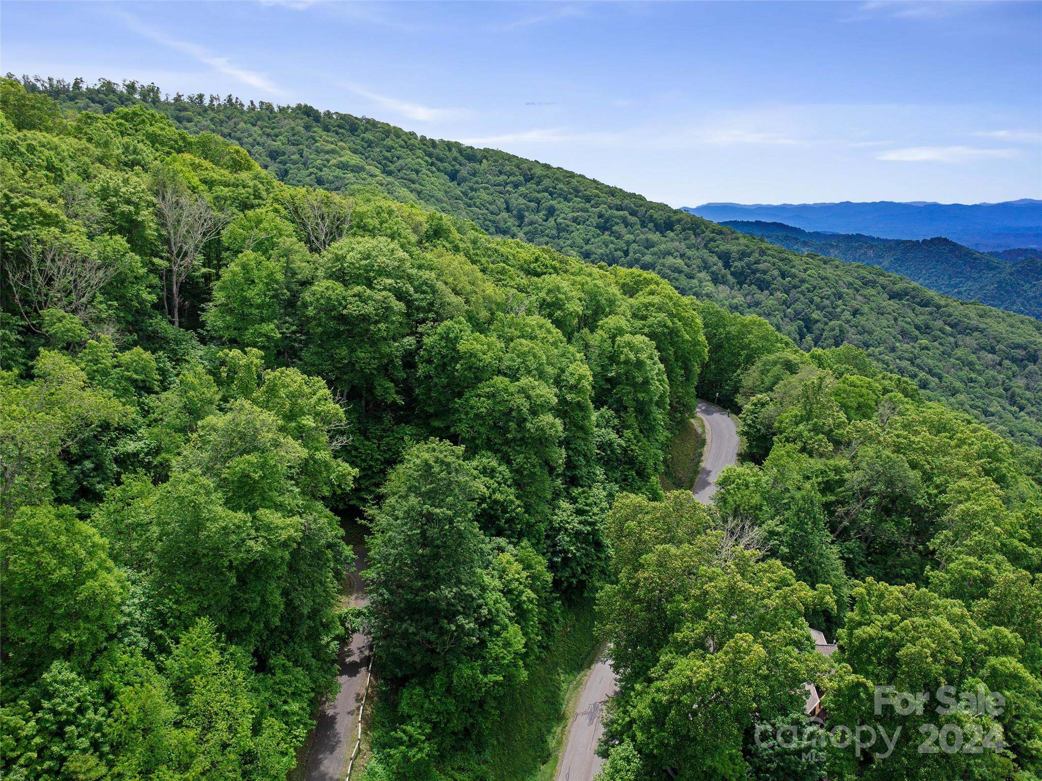 Lot 17 Old Growth Forest Road Burnsville NC 28714