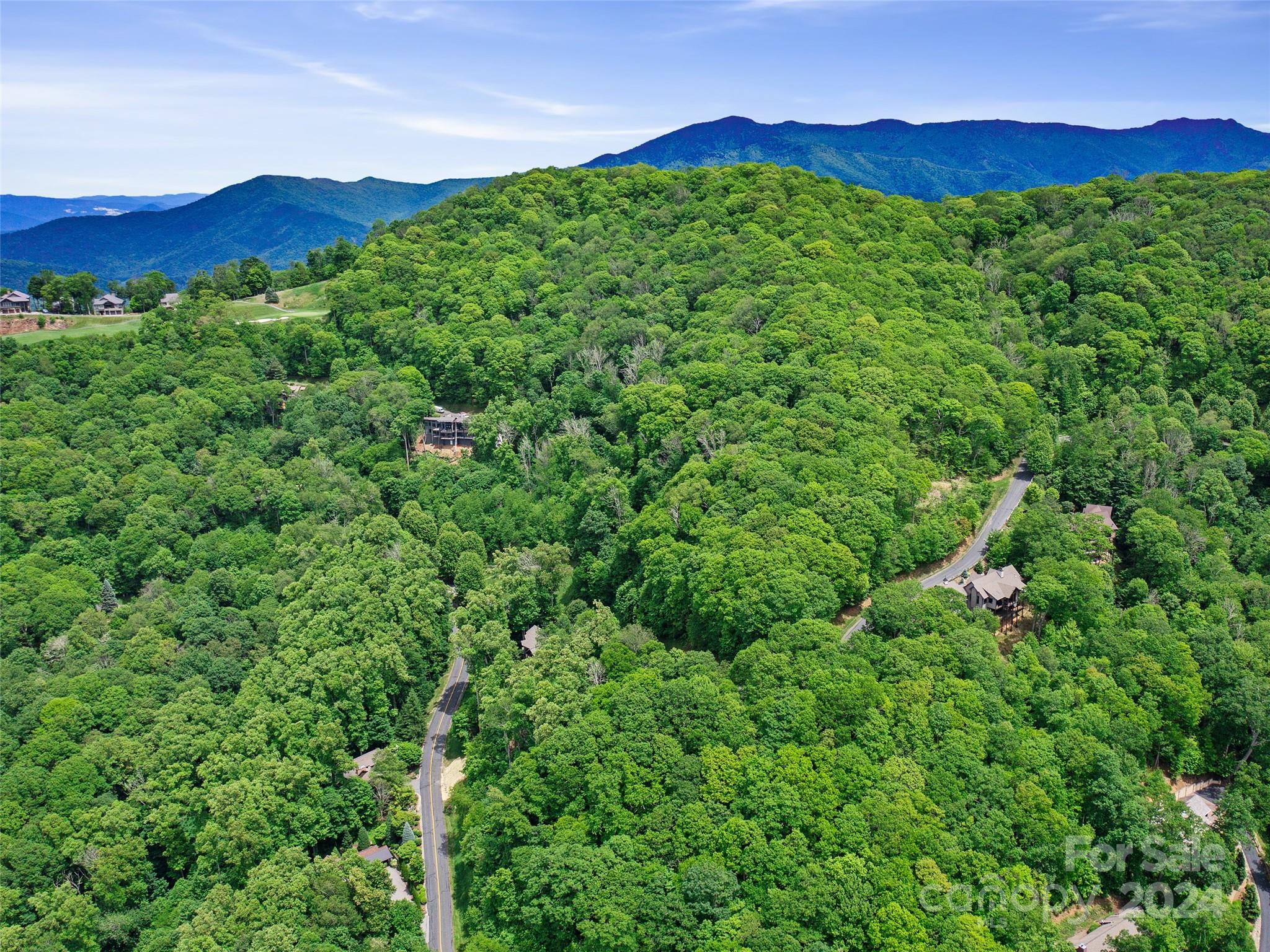 Lot 17 Old Growth Forest Road Burnsville NC 28714