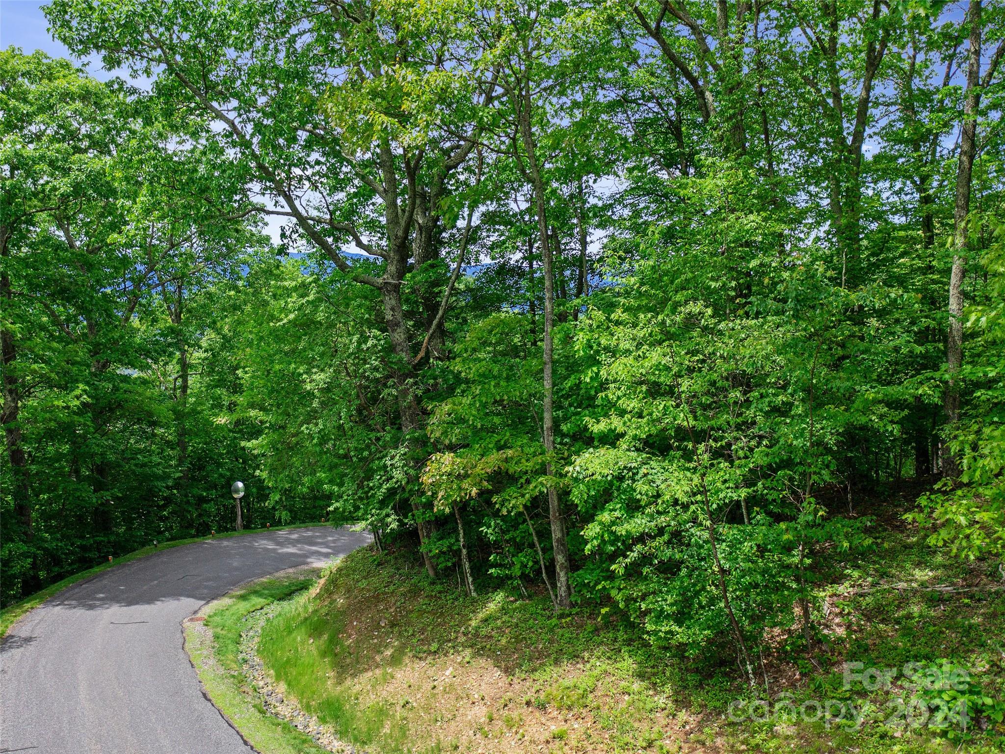 Lot 17 Old Growth Forest Road Burnsville NC 28714