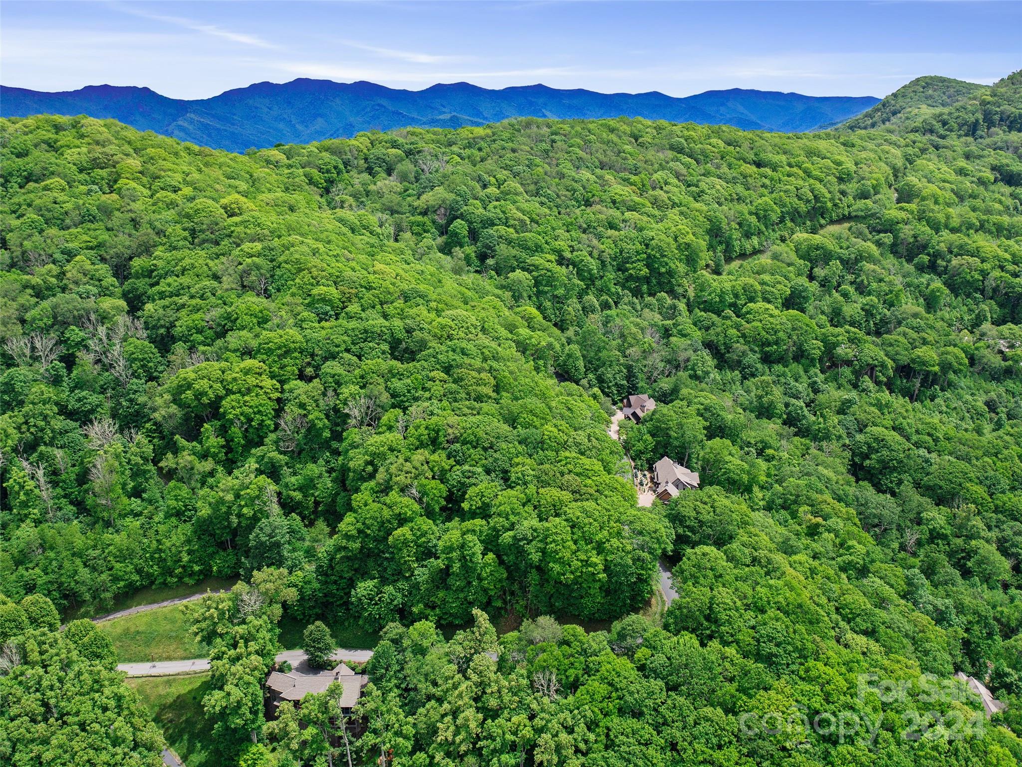 Lot 17 Old Growth Forest Road Burnsville NC 28714
