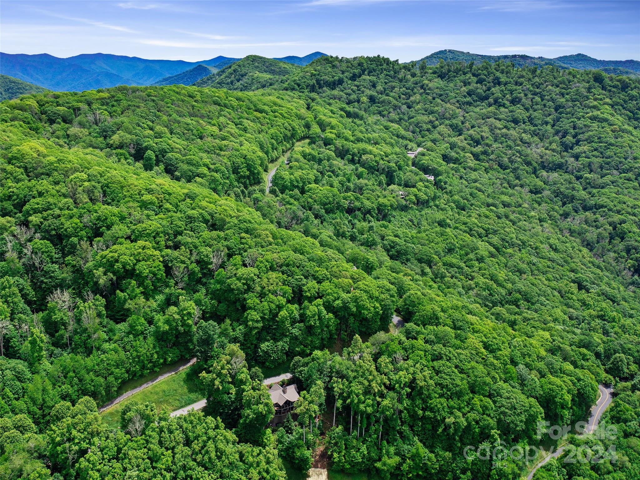 Lot 17 Old Growth Forest Road Burnsville NC 28714