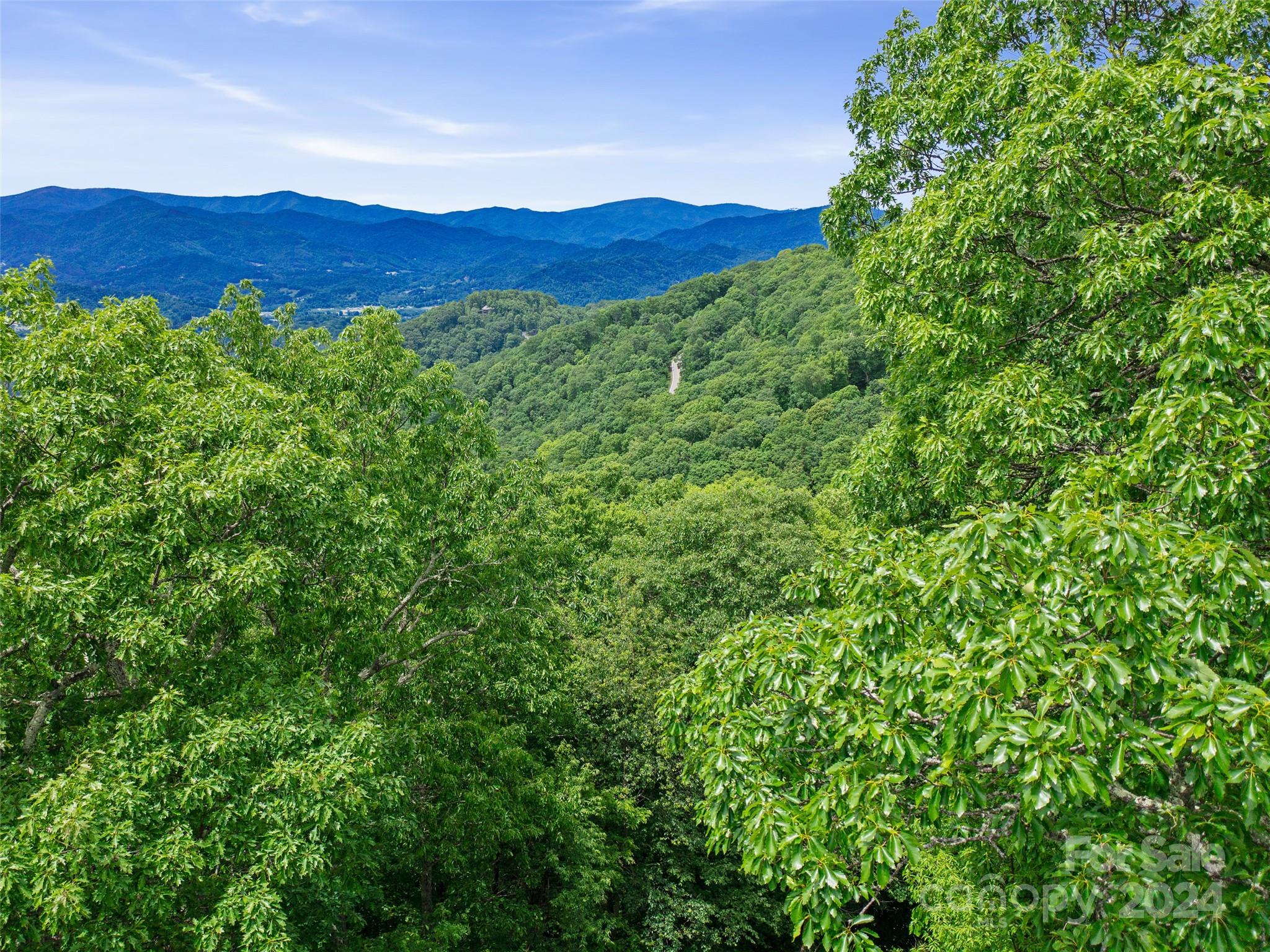 Lot 17 Old Growth Forest Road Burnsville NC 28714