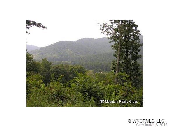 40 Smokey Ridge Trail Arden NC 28704