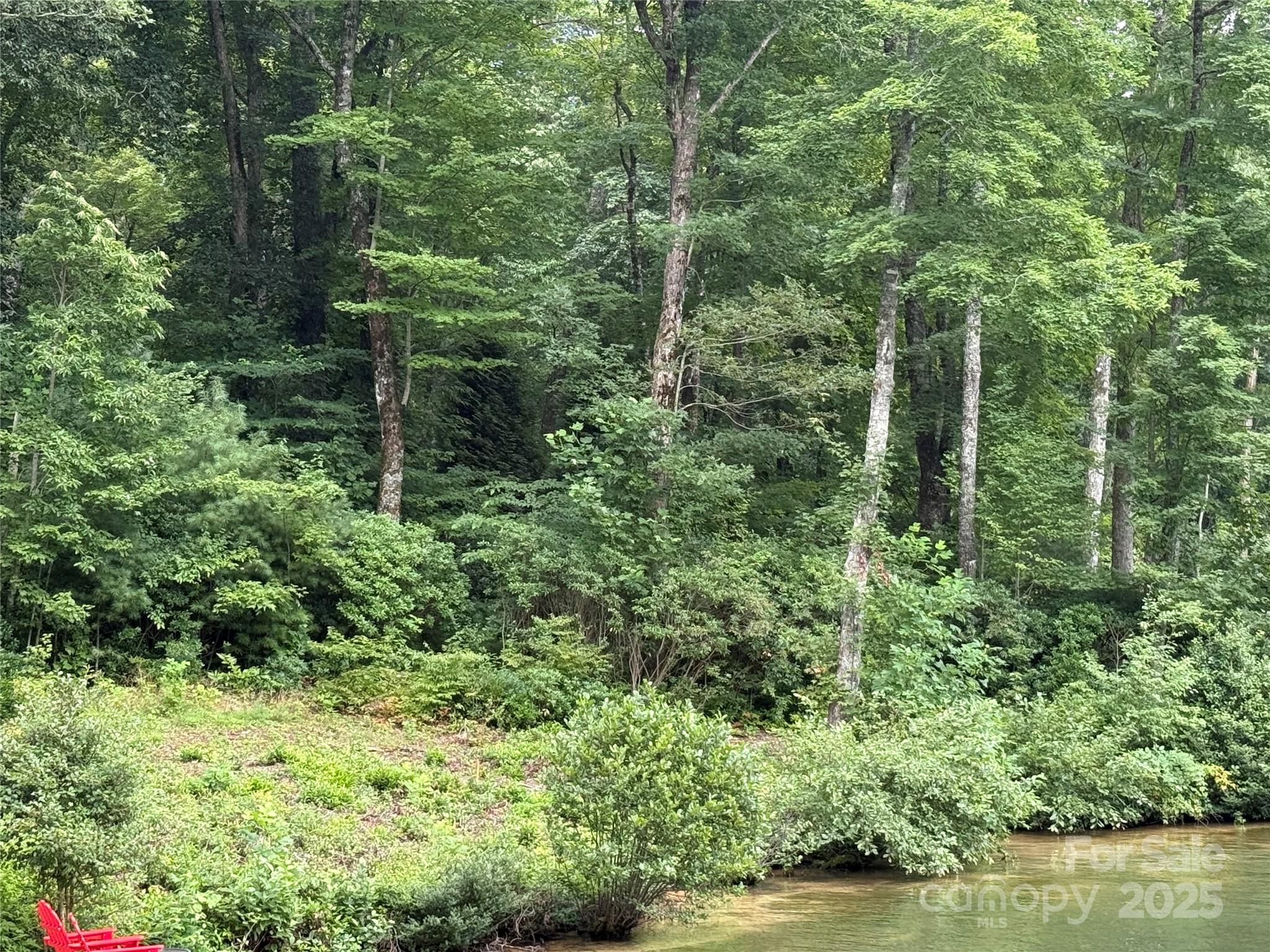 E49REV Cold Mountain Road Lake Toxaway NC 28747