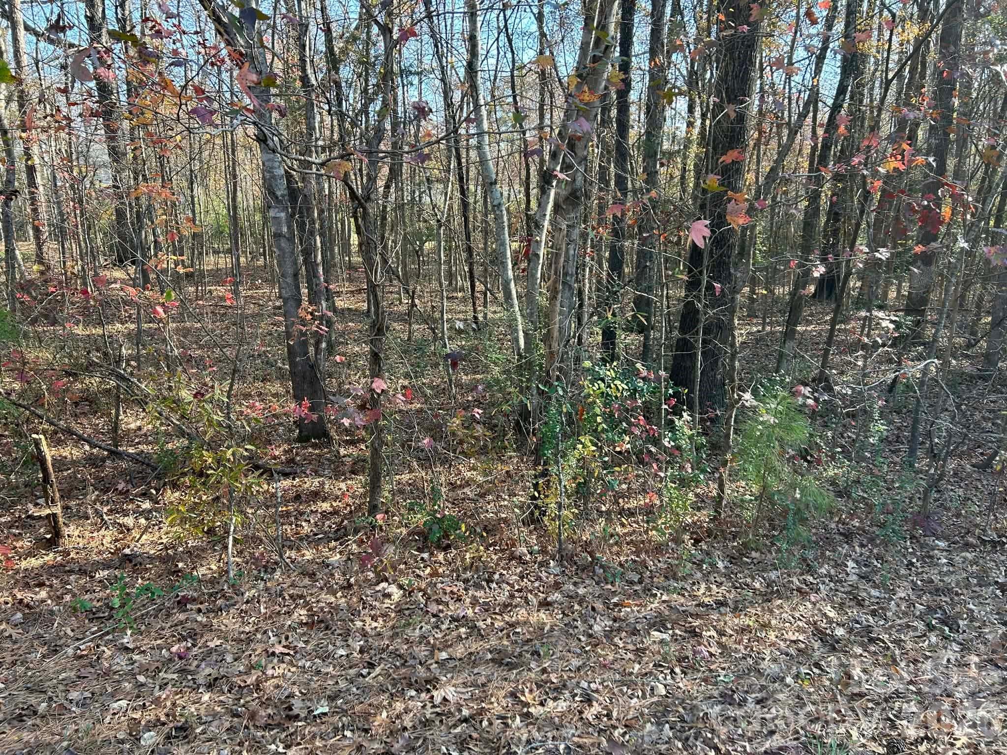 1520 Hyman Drive Albemarle NC 28001