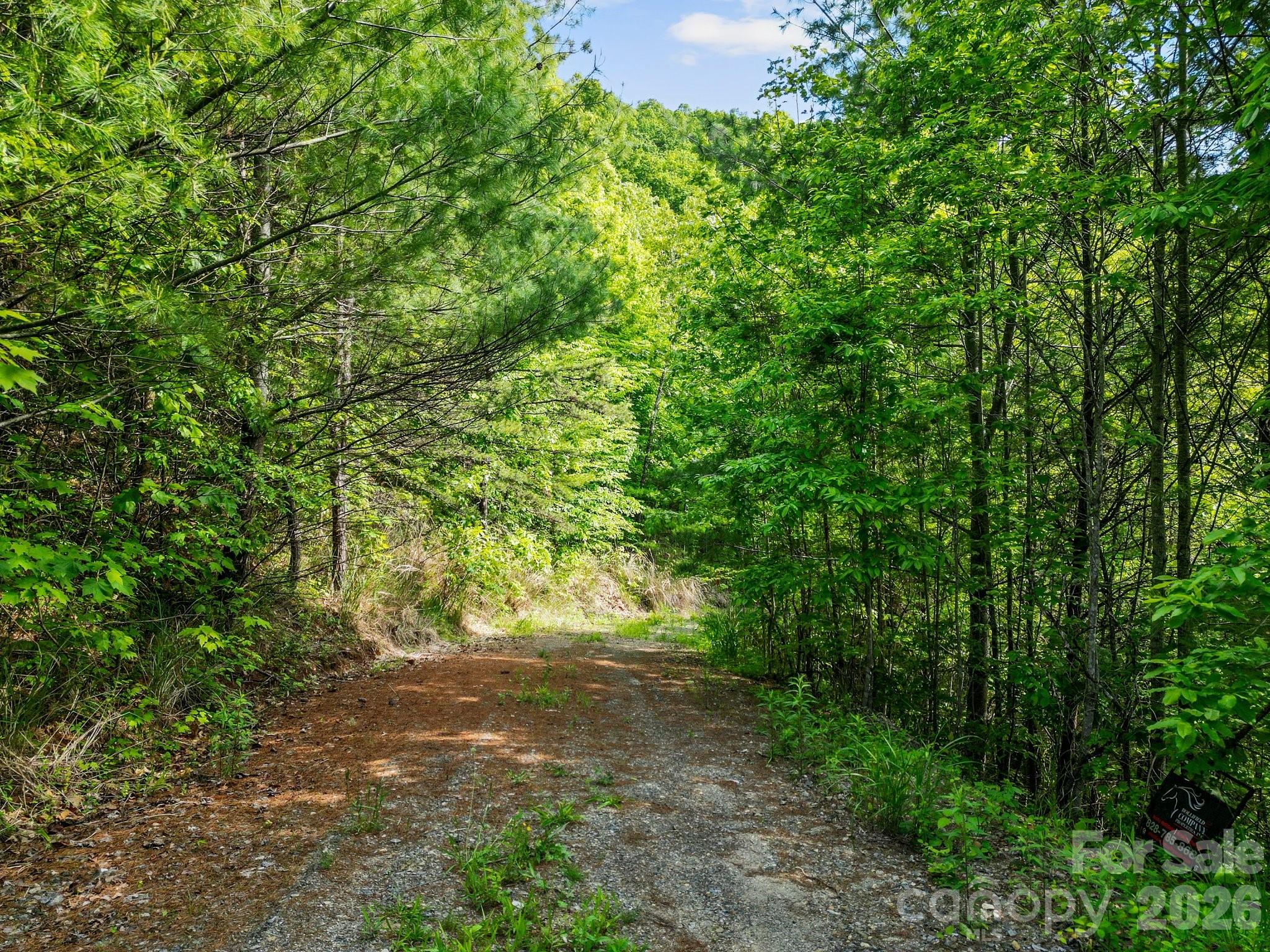 138 Whitfield Lane Weaverville NC 28787