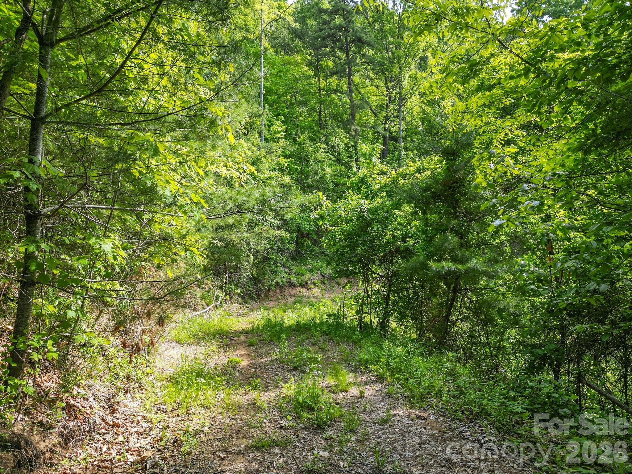 138 Whitfield Lane Weaverville NC 28787