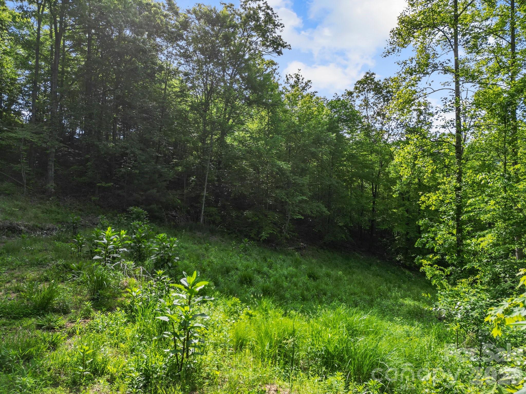 138 Whitfield Lane Weaverville NC 28787