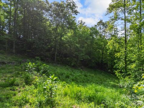 138 Whitfield Lane Weaverville NC 28787