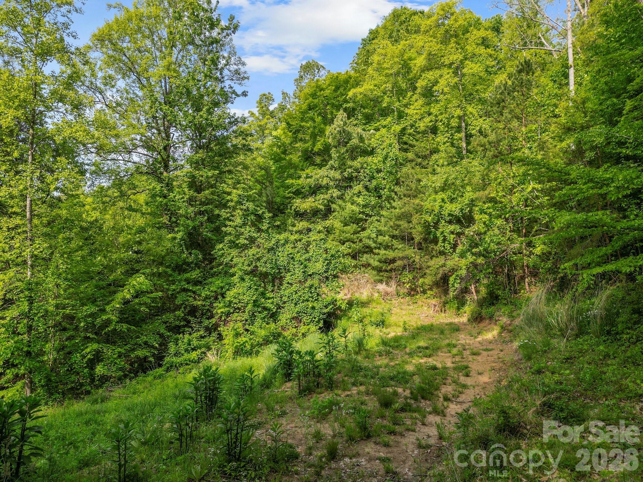 138 Whitfield Lane Weaverville NC 28787