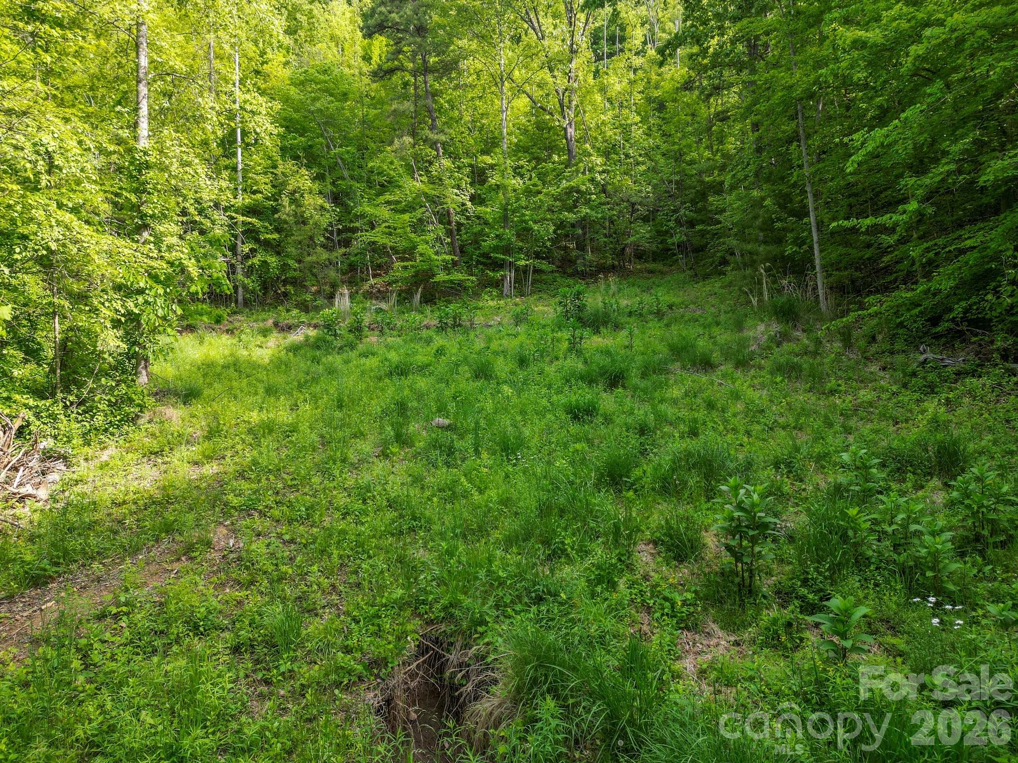 138 Whitfield Lane Weaverville NC 28787