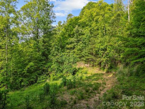 138 Whitfield Lane Weaverville NC 28787