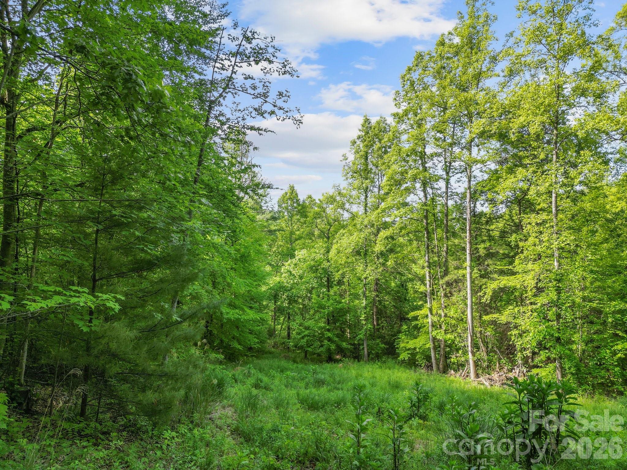 138 Whitfield Lane Weaverville NC 28787