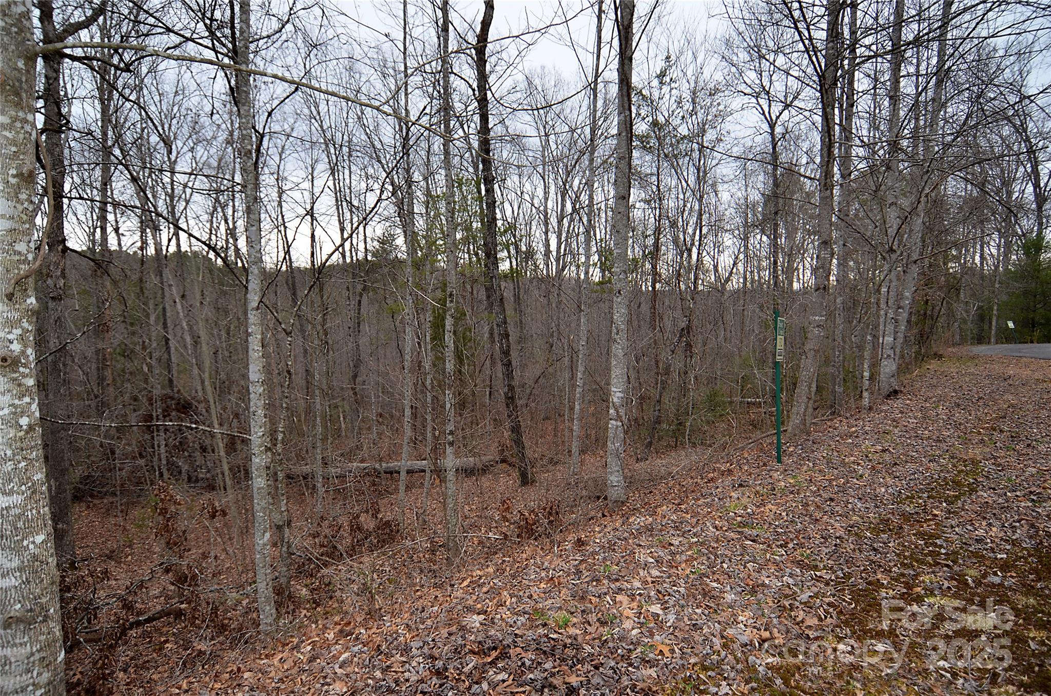 V/l #32 Bent Creek Drive Nebo NC 28761
