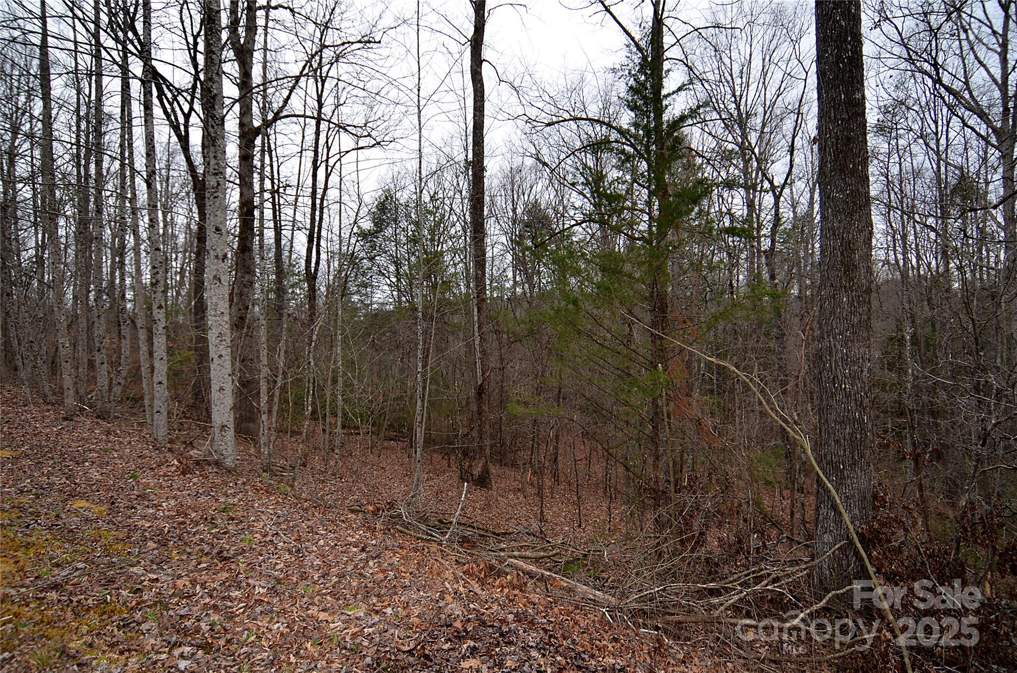 V/l #32 Bent Creek Drive Nebo NC 28761