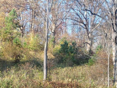 00 Kirkpatrick Cove Clyde NC 28721
