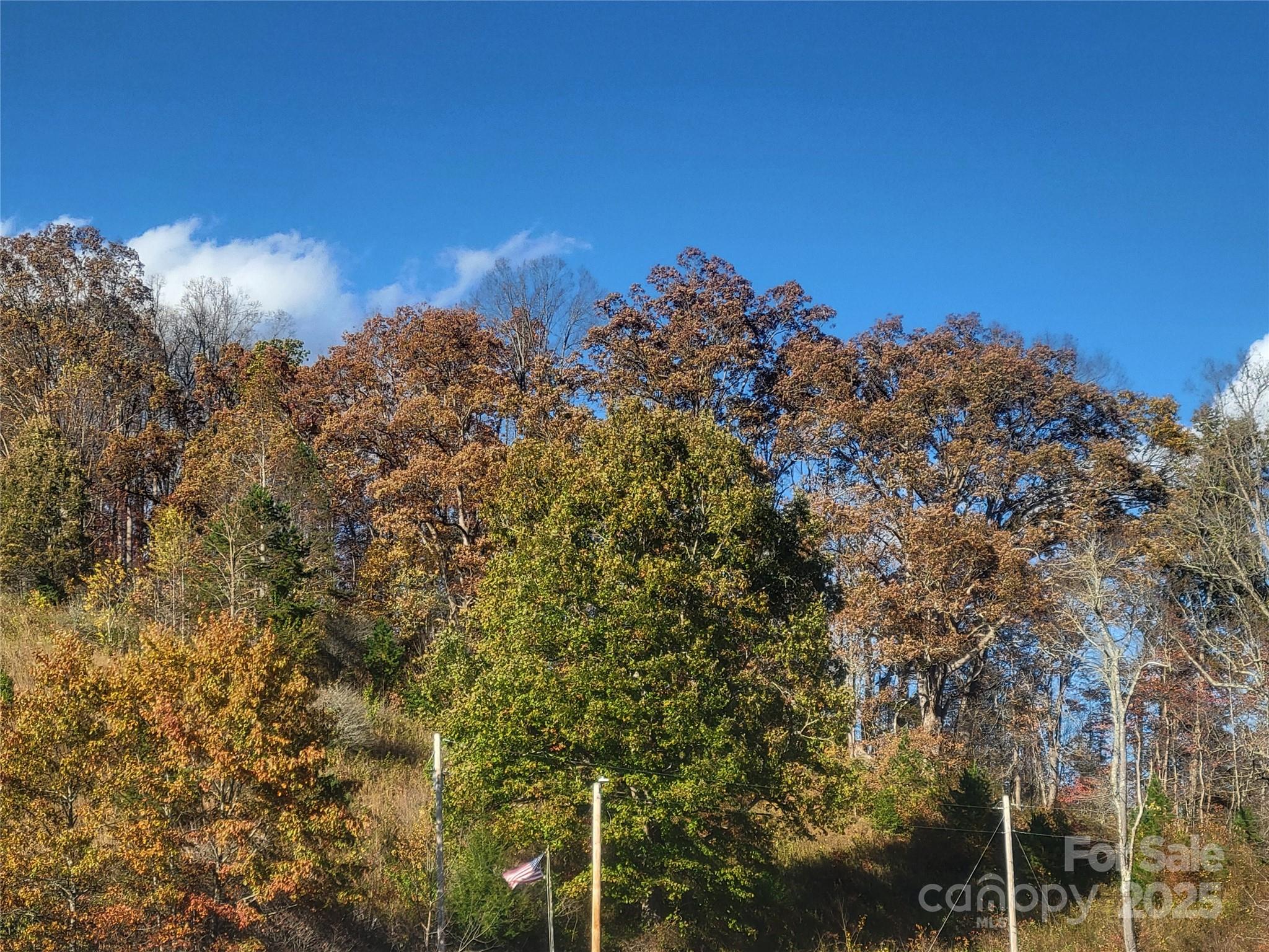 00 Kirkpatrick Cove Clyde NC 28721