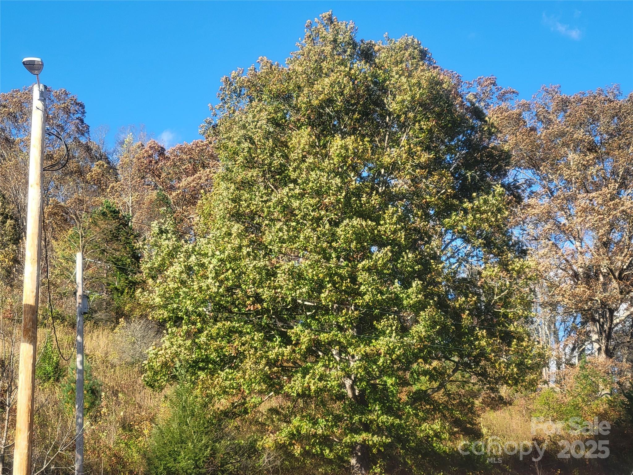 00 Kirkpatrick Cove Clyde NC 28721