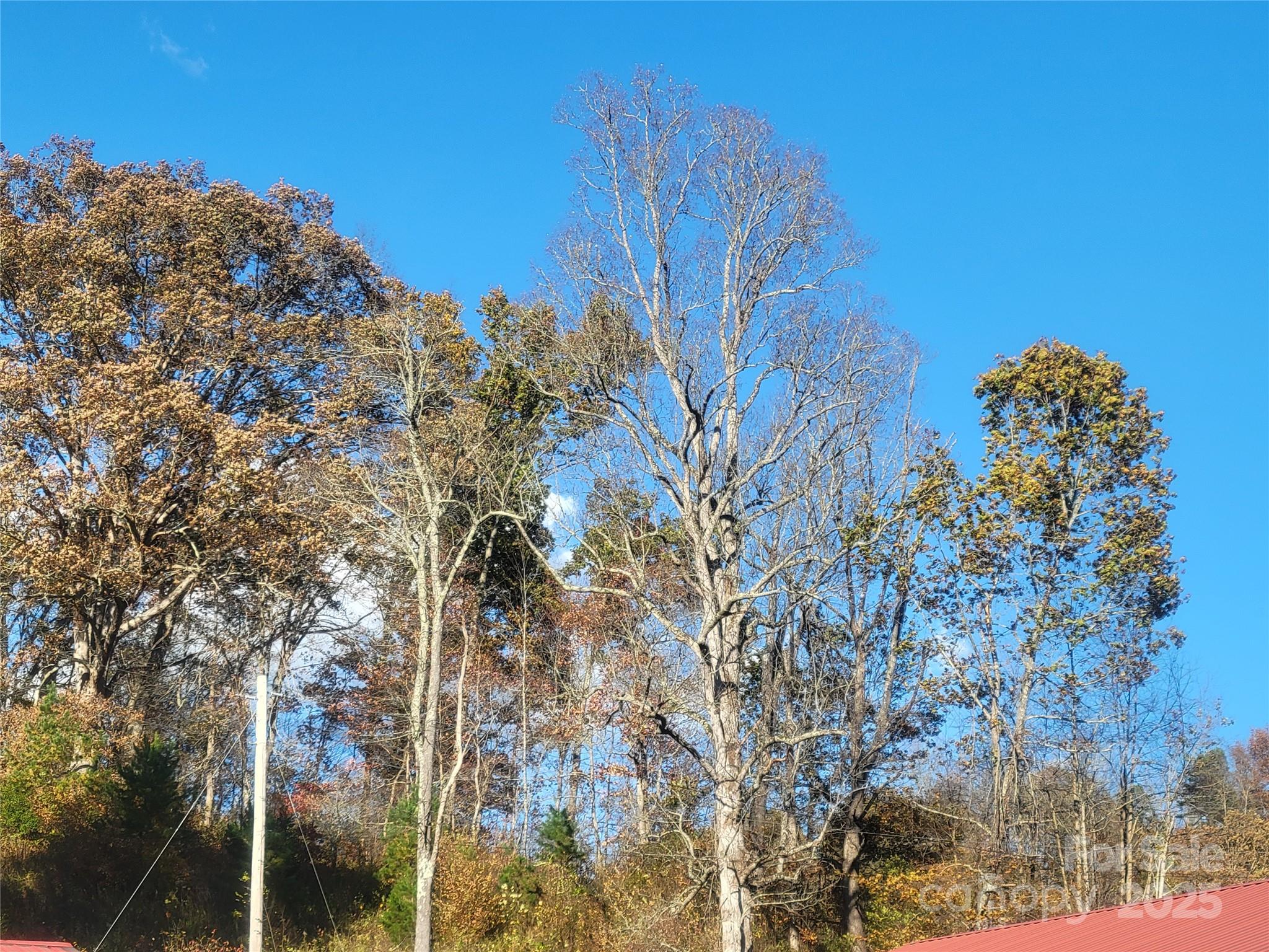 00 Kirkpatrick Cove Clyde NC 28721