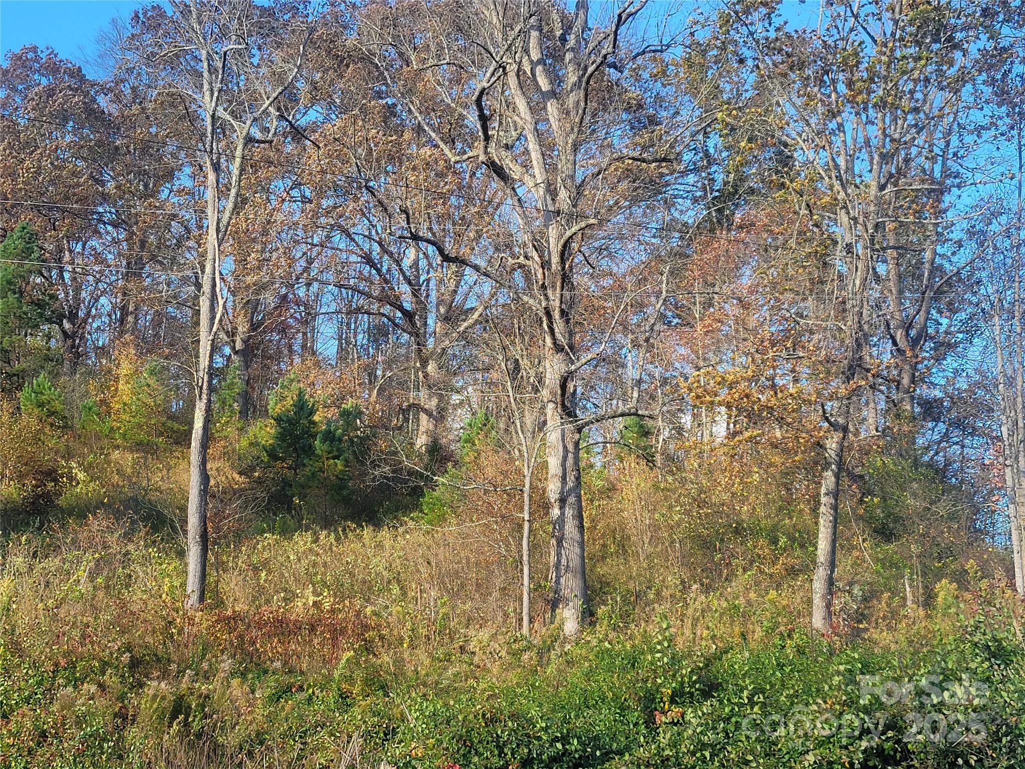 00 Kirkpatrick Cove Clyde NC 28721