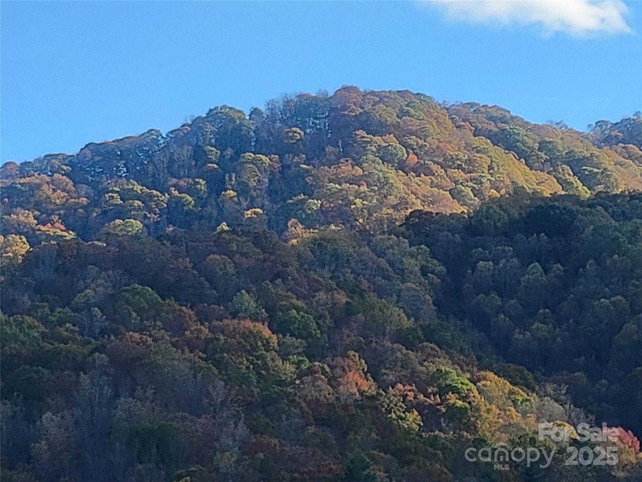 00 Kirkpatrick Cove Clyde NC 28721