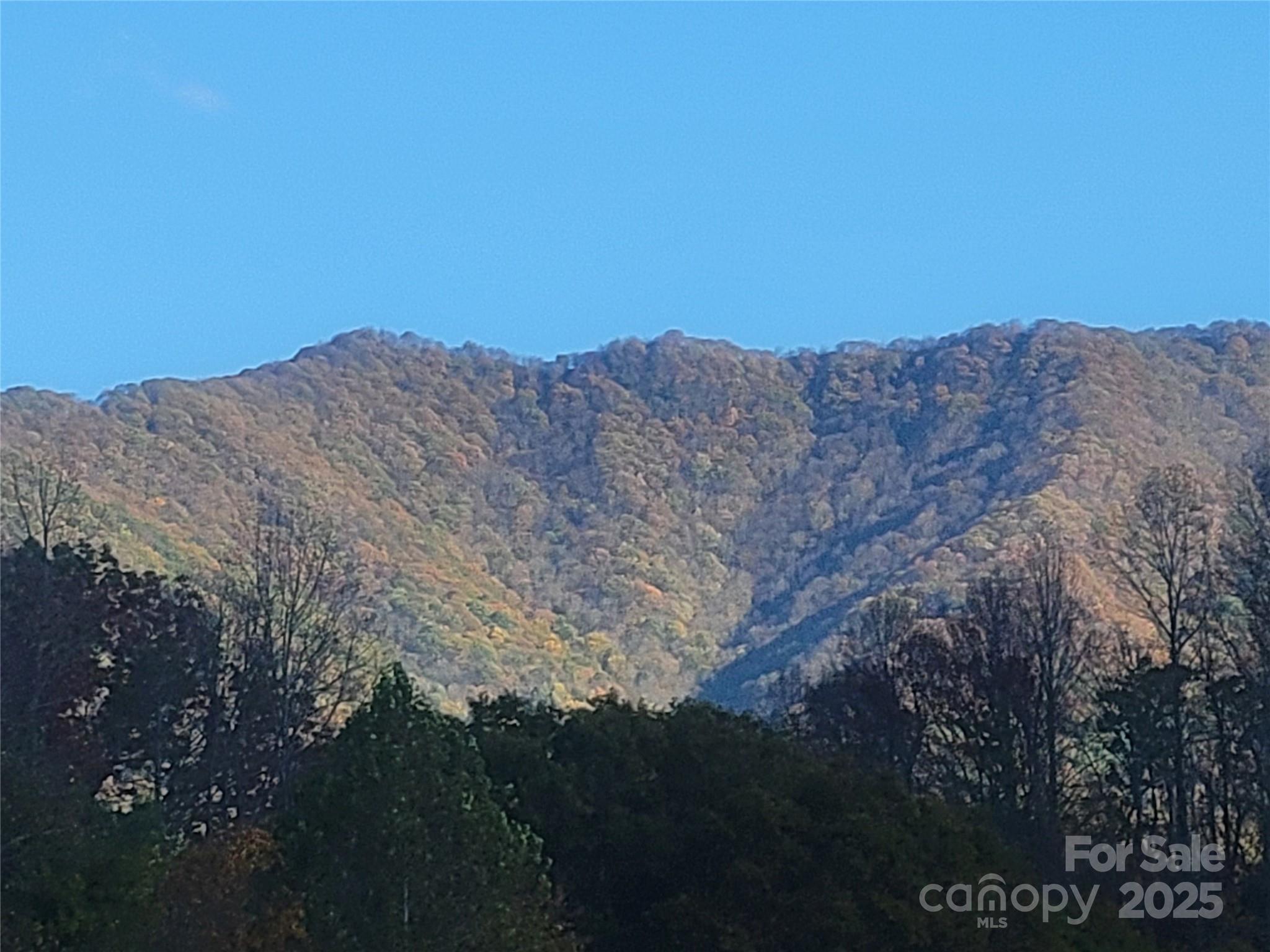 00 Kirkpatrick Cove Clyde NC 28721