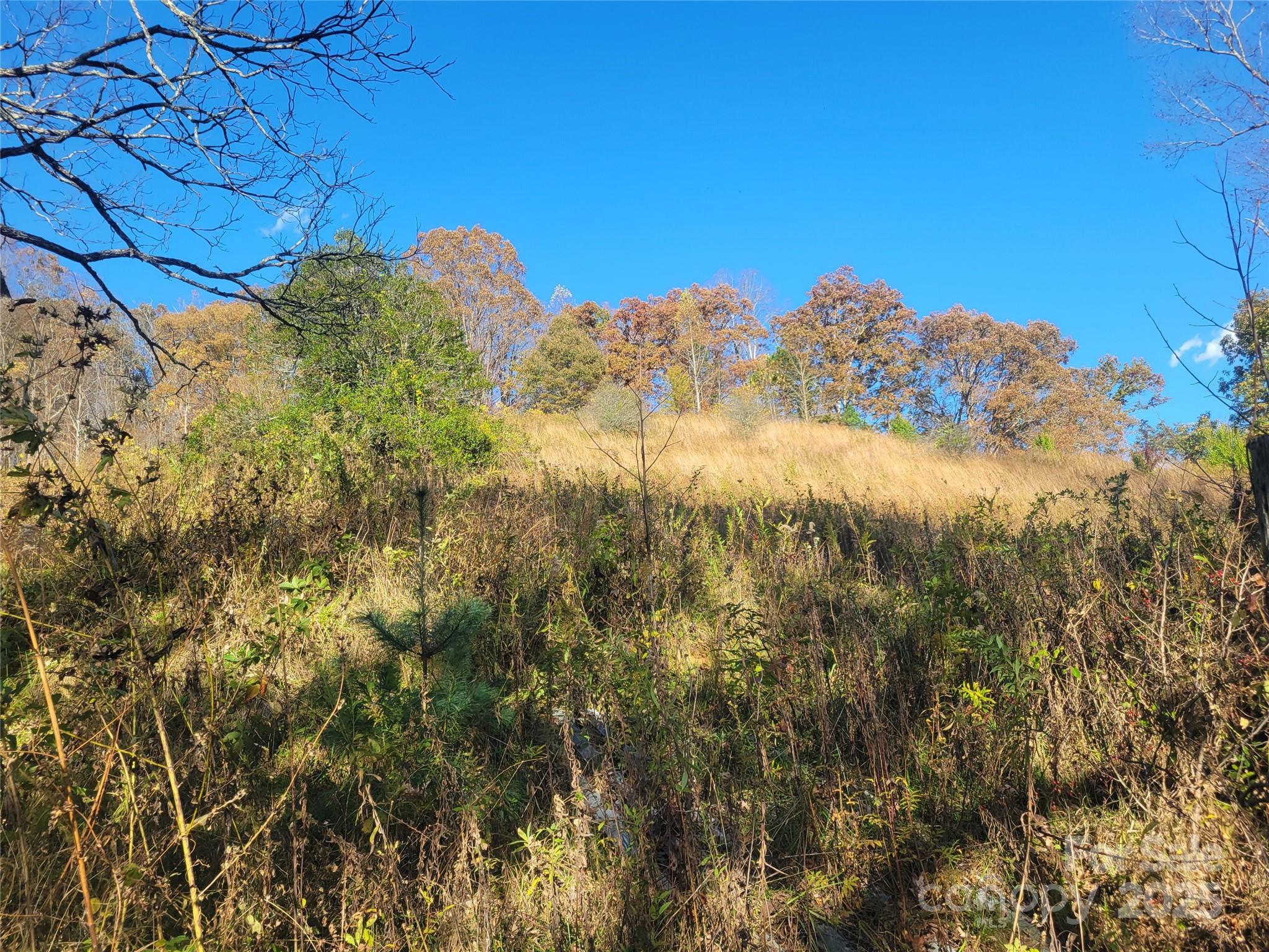 00 Kirkpatrick Cove Clyde NC 28721