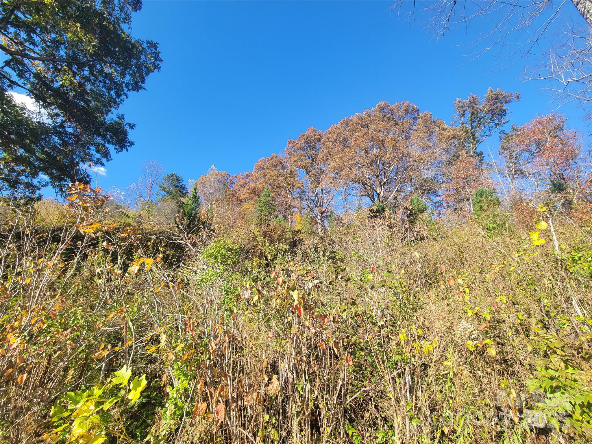 00 Kirkpatrick Cove Clyde NC 28721
