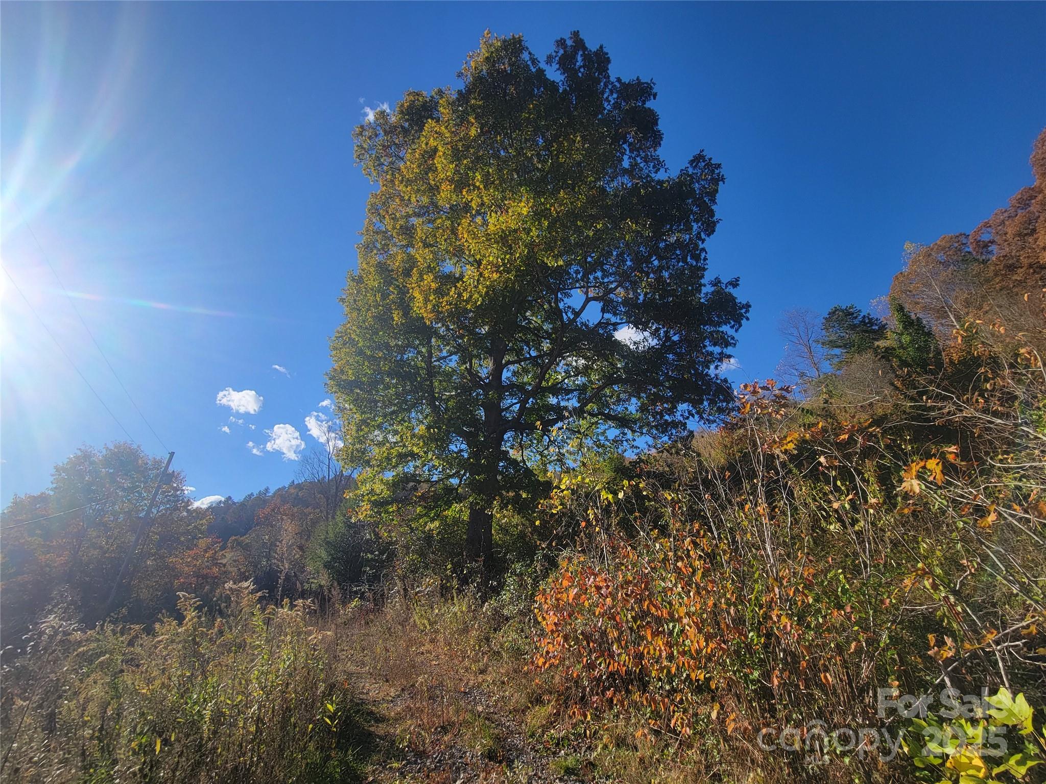 00 Kirkpatrick Cove Clyde NC 28721