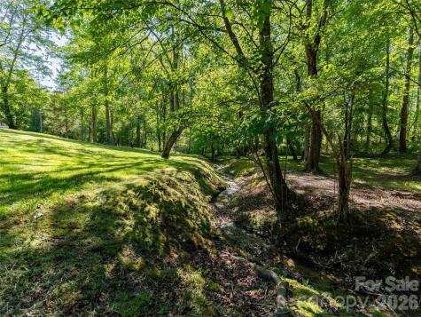 Lot 17 Swallowtail Lane Whittier NC 28789