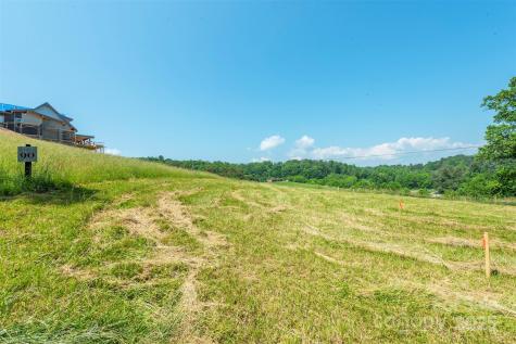 15 French Broad River Way Asheville NC 28804