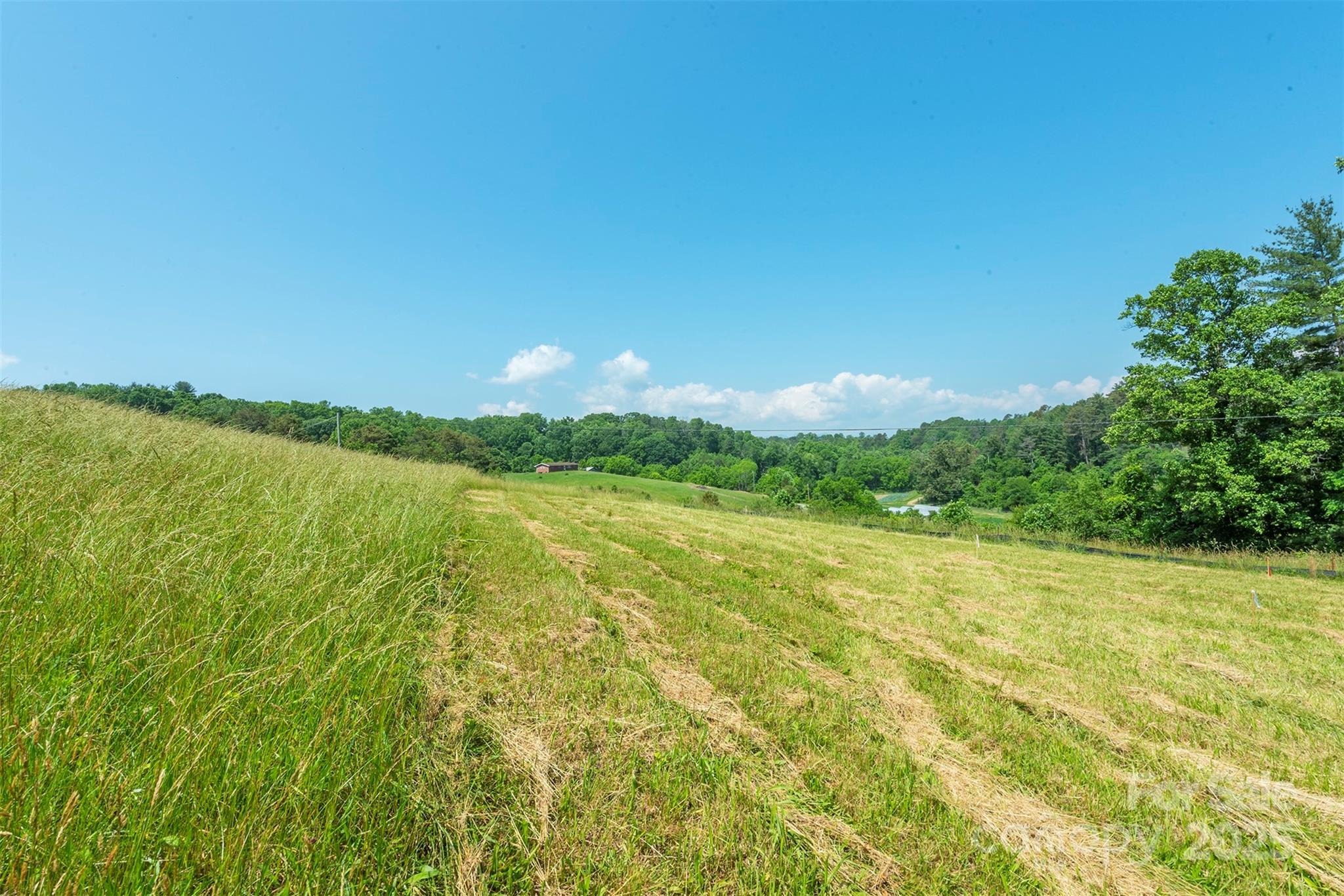 15 French Broad River Way Asheville NC 28804