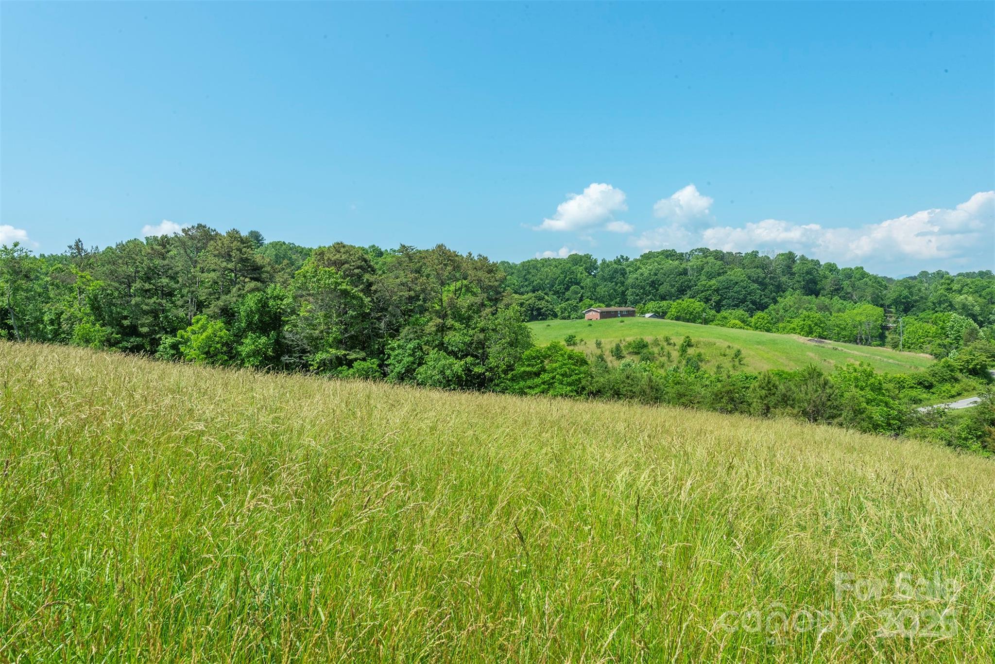 15 French Broad River Way Asheville NC 28804