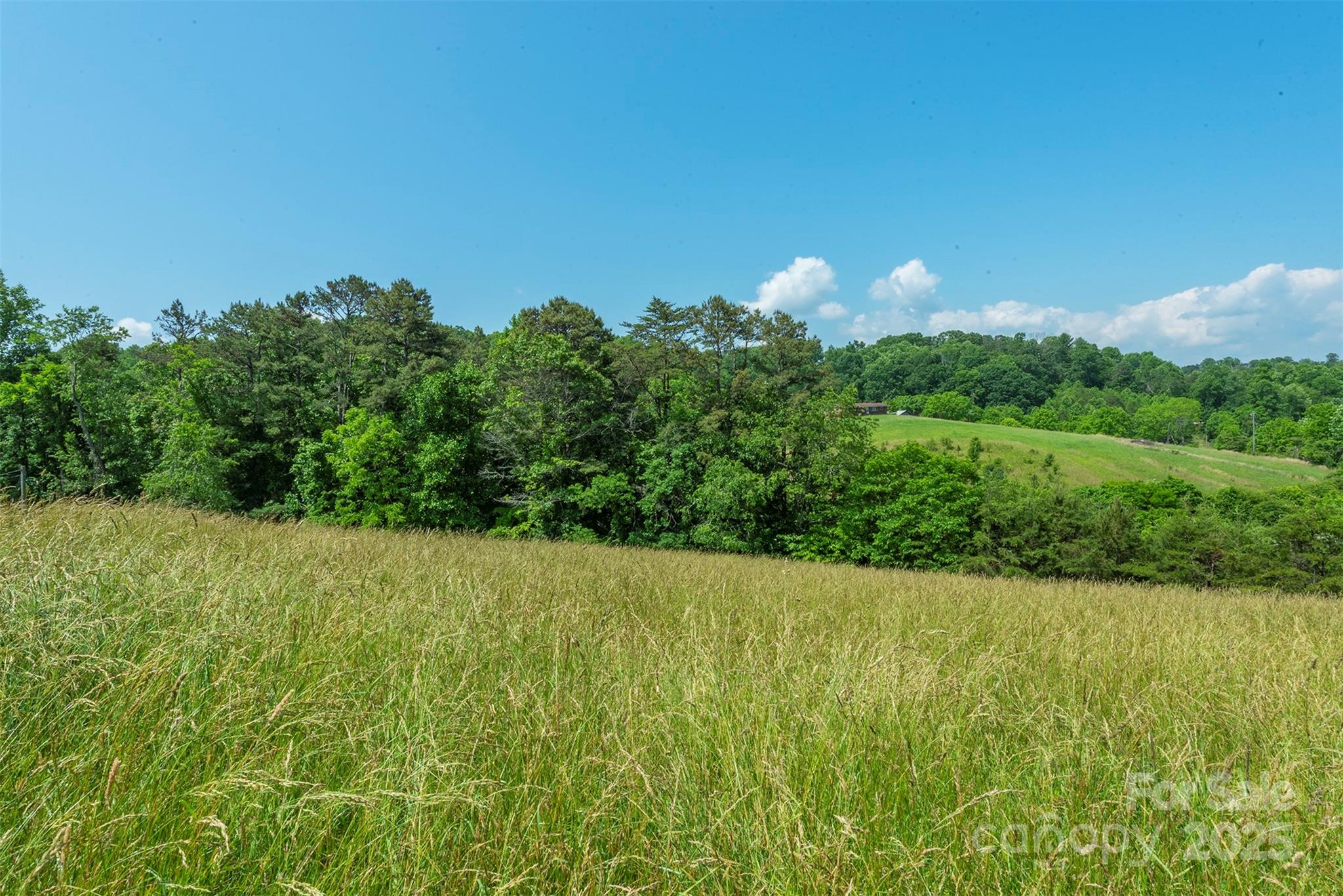 15 French Broad River Way Asheville NC 28804