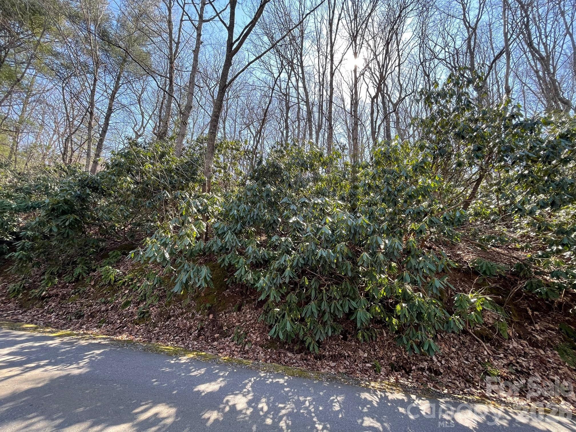 111 Deer Run Lane Asheville NC 28805