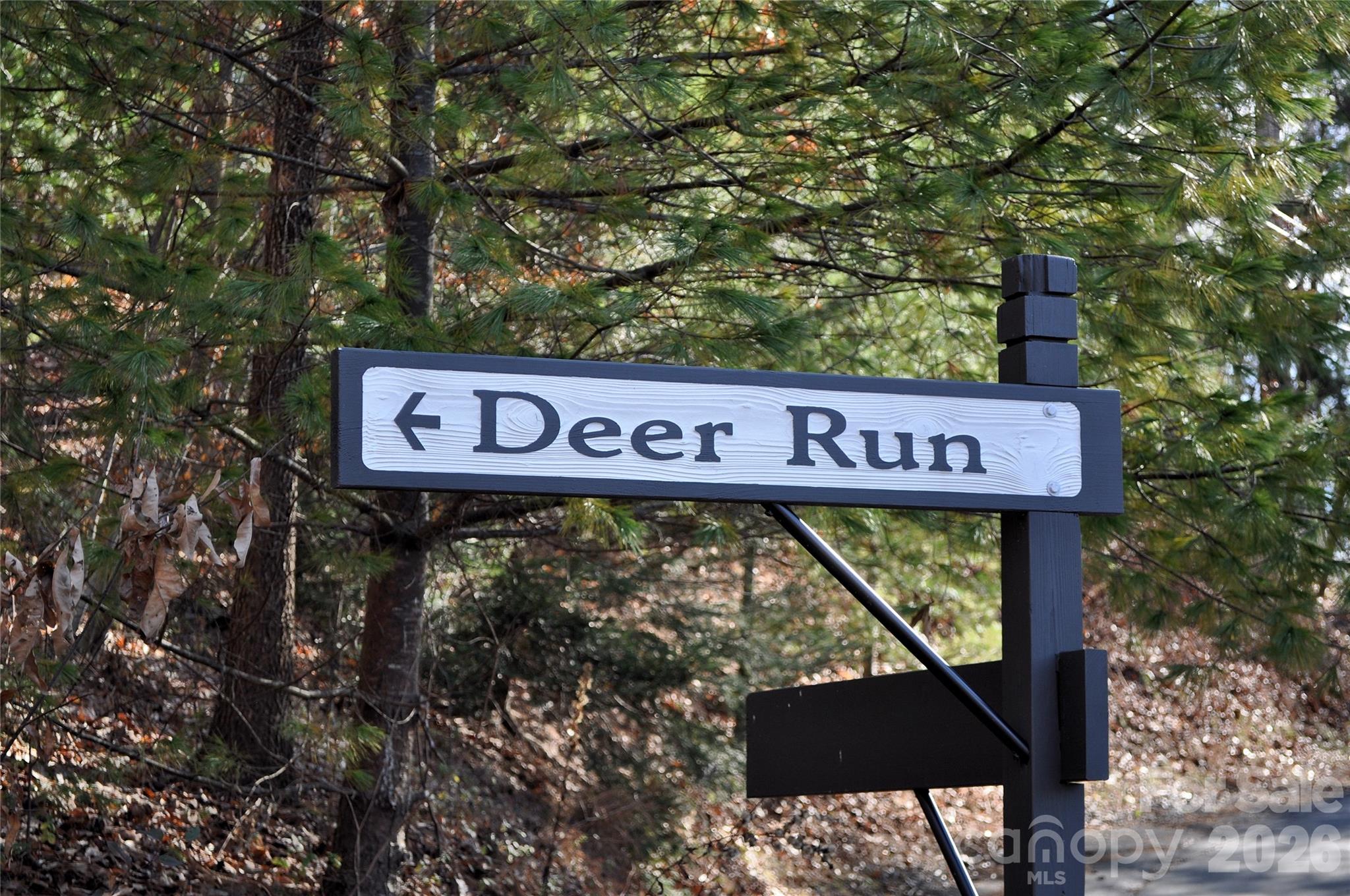 111 Deer Run Lane Asheville NC 28805