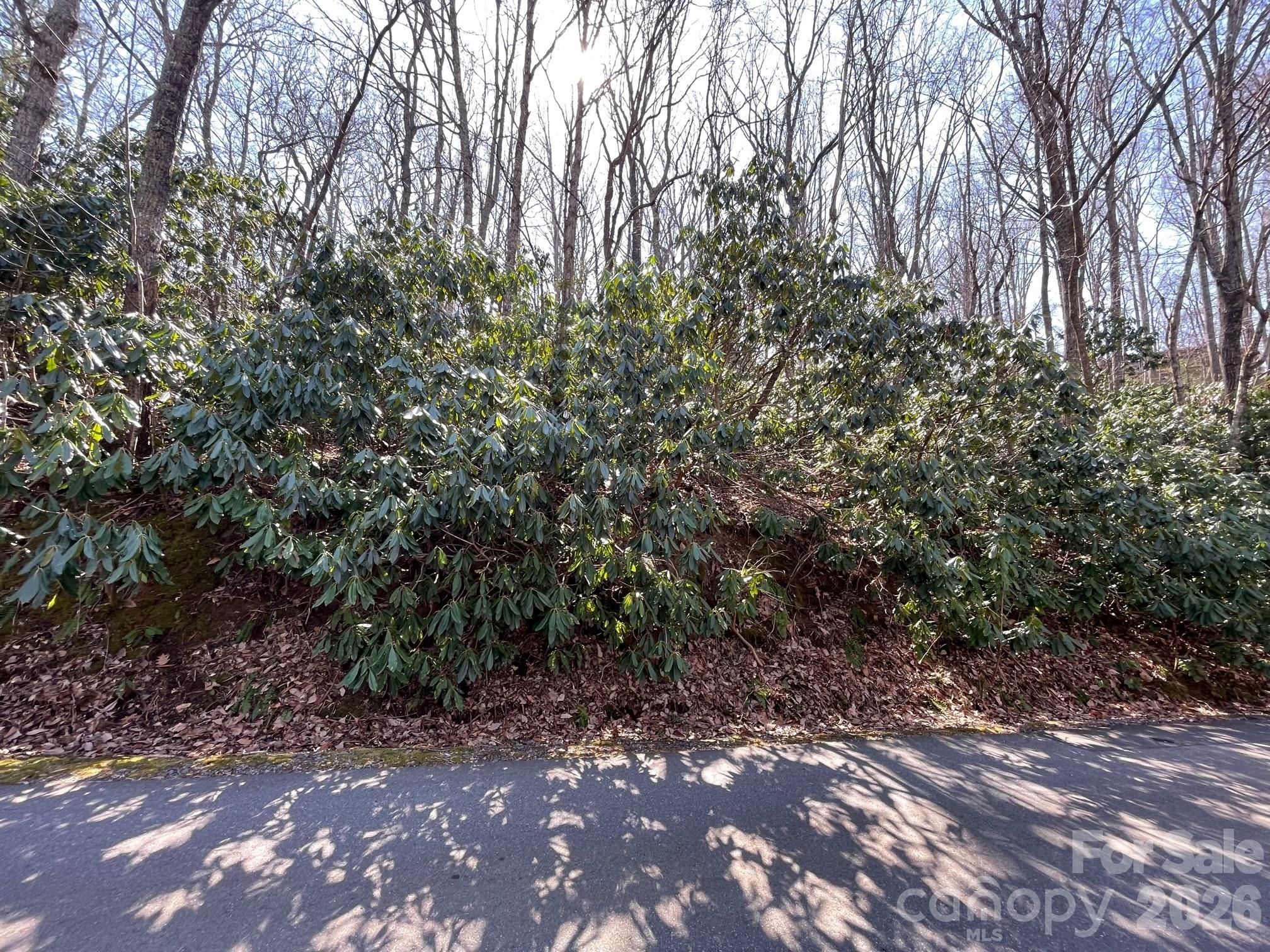 111 Deer Run Lane Asheville NC 28805