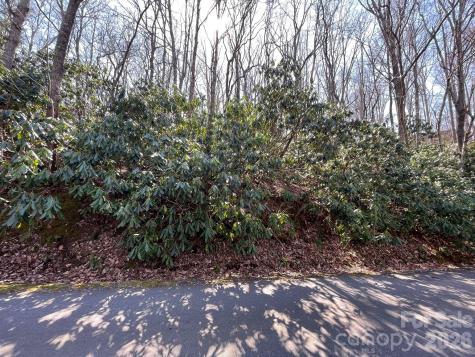 111 Deer Run Lane Asheville NC 28805