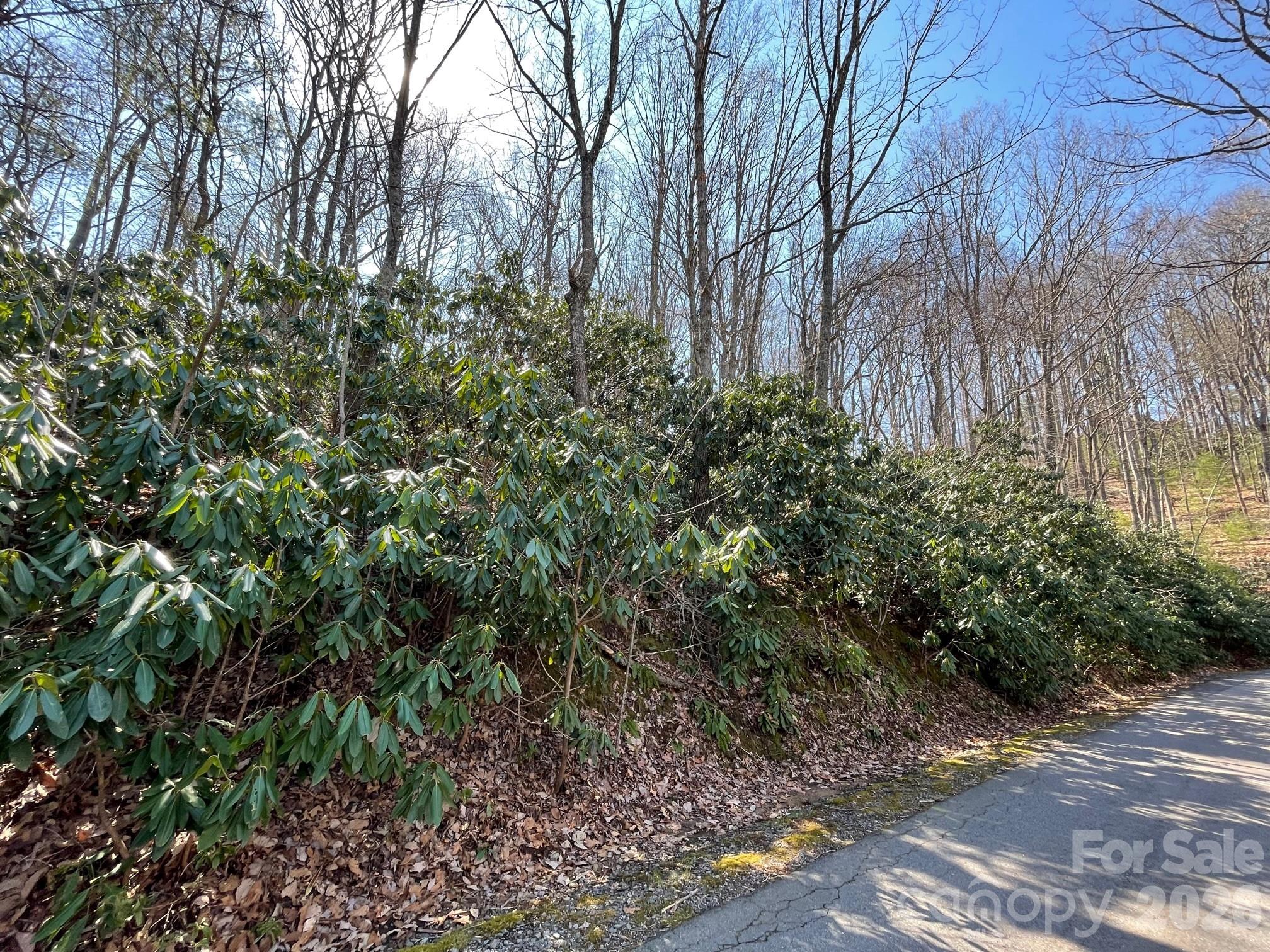 111 Deer Run Lane Asheville NC 28805