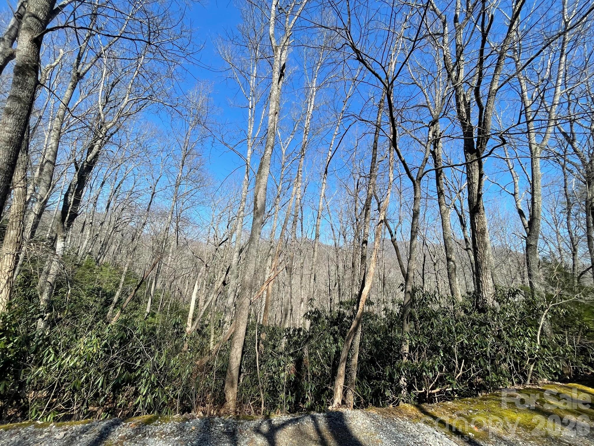 111 Deer Run Lane Asheville NC 28805
