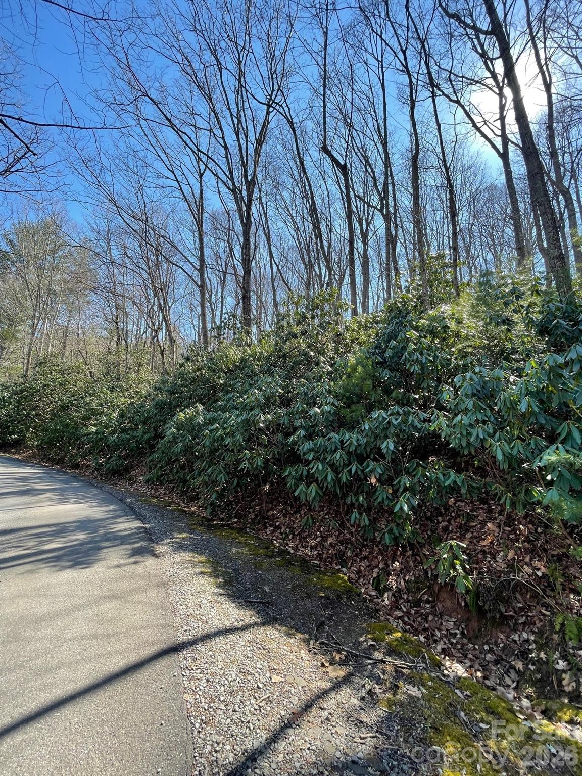 111 Deer Run Lane Asheville NC 28805
