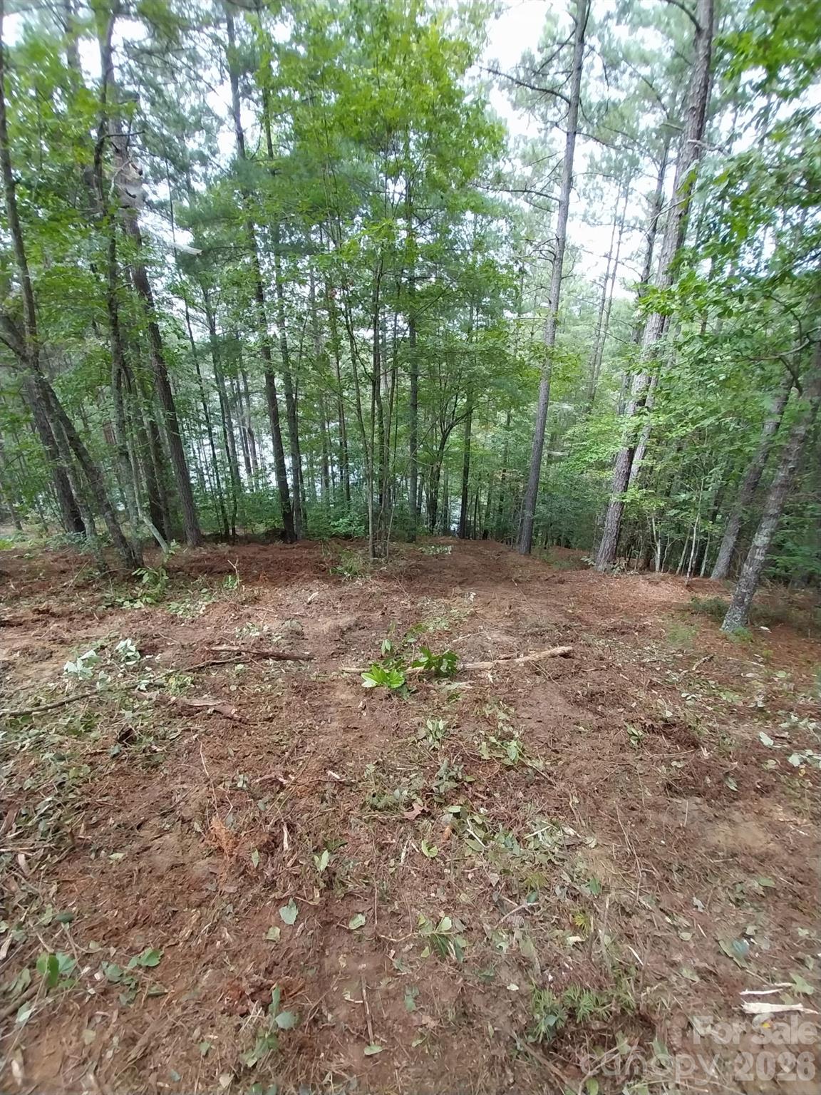 2254 Anchor Lane Connelly Springs NC 28612