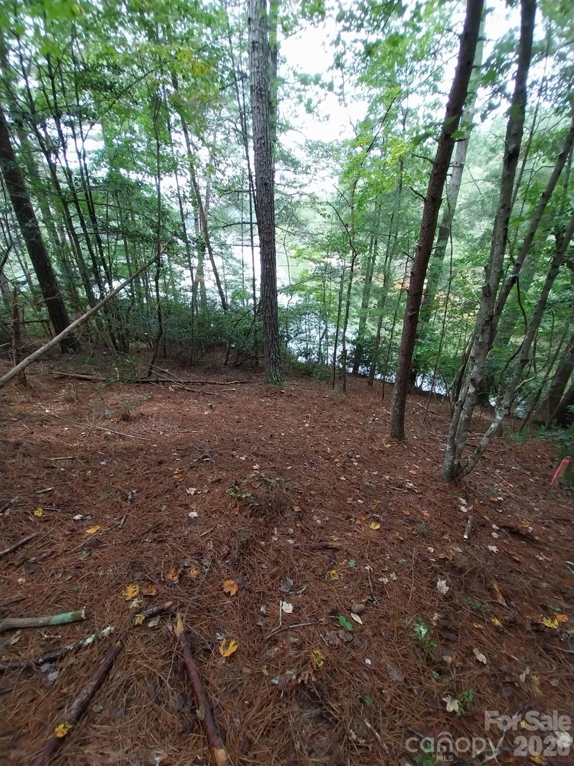 2254 Anchor Lane Connelly Springs NC 28612