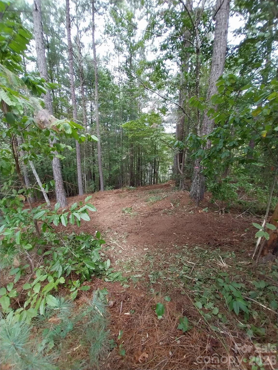 2254 Anchor Lane Connelly Springs NC 28612