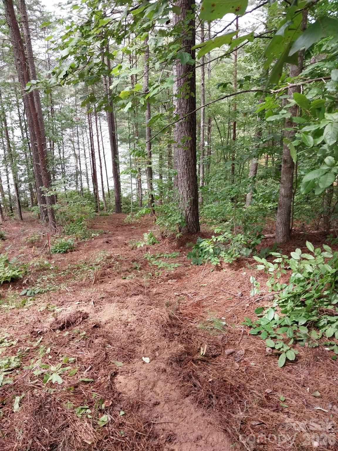 2254 Anchor Lane Connelly Springs NC 28612