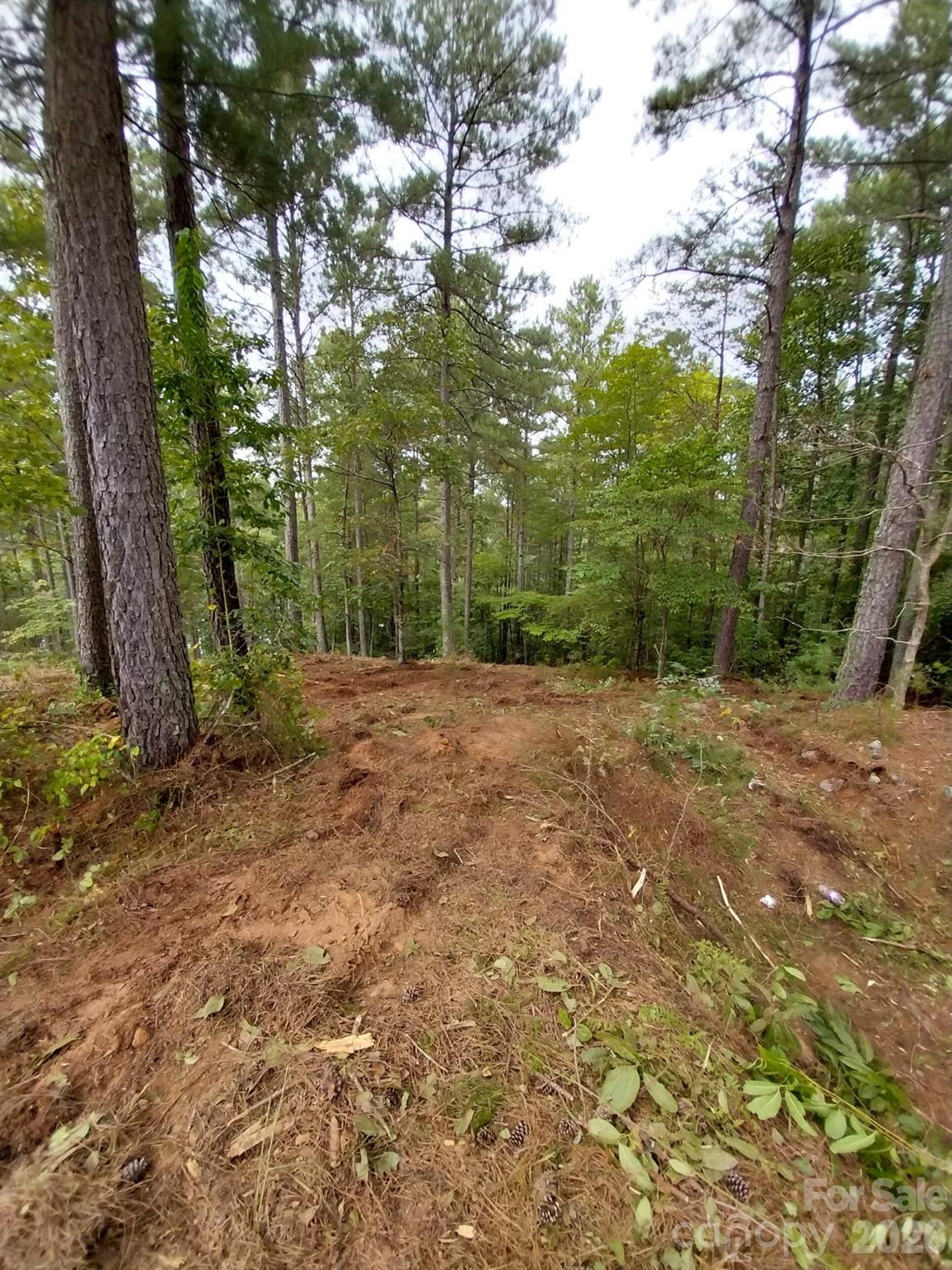 2254 Anchor Lane Connelly Springs NC 28612