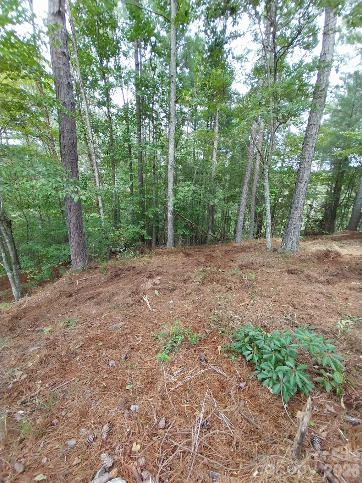 2254 Anchor Lane Connelly Springs NC 28612