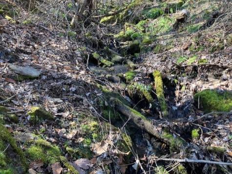 00 Utah Mountain Road Waynesville NC 28785