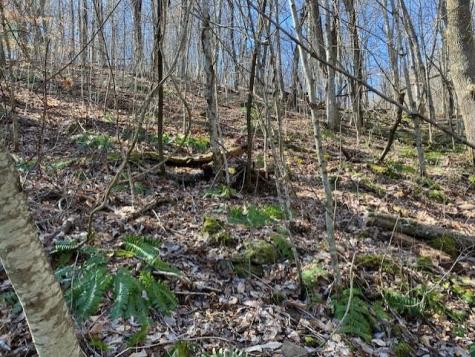 00 Utah Mountain Road Waynesville NC 28785