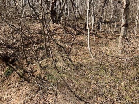 00 Utah Mountain Road Waynesville NC 28785